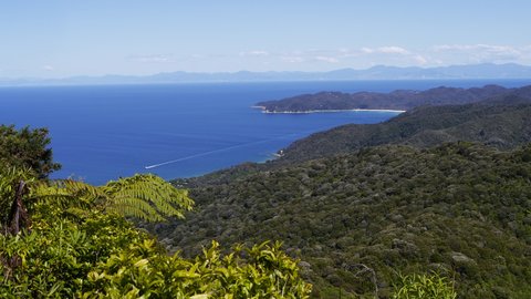 Nouvelle Zélande, novembre à janvier 2019-20, _1270916 retouche Gibs Hill Track  Inland Track  Abel Tasman  ile du sud
