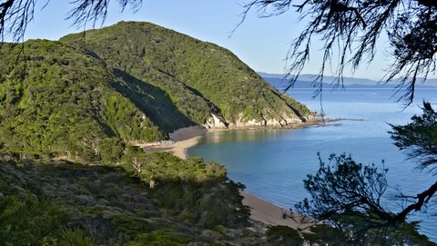Nouvelle Zélande, novembre à janvier 2019-20, _1270924 raw Whariwharangi Bay  Abel Tasman  ile du sud