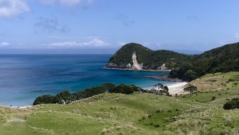 Nouvelle Zélande, novembre à janvier 2019-20, _1250211 raw Smugglers Bay  Ile du nord
