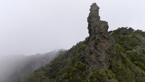 Nouvelle Zélande, novembre à janvier 2019-20, _1250234 raw Mont Lion  395m   Te Whara Track  Ile du nord
