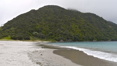 Nouvelle Zélande, novembre à janvier 2019-20, _1250251 raw Smugglers Bay  Ile du Nord