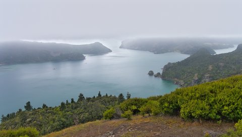 Nouvelle Zélande, novembre à janvier 2019-20, _1250320 raw Pekapeka Bay  depuis Kairara Rock  184m   proche de Whangaroa Bay  Ile du nord