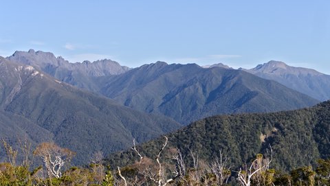 Nouvelle Zélande, novembre à janvier 2019-20, _1260124 raw  Entre  Aoere Shelter et Perry Saddle Hut  Heaphy Track  ile du sud