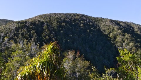 Nouvelle Zélande, novembre à janvier 2019-20, _1260136 raw Entre  Aoere Shelter et Perry Saddle Hut  Heaphy Track  ile du sud