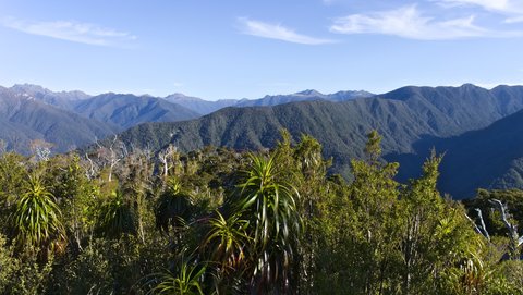 Nouvelle Zélande, novembre à janvier 2019-20, _1260145 raw Entre  Aoere Shelter et Perry Saddle Hut  Heaphy Track  ile du sud