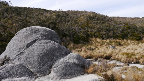Nouvelle Zélande, novembre à janvier 2019-20, _1260326 retouche Entre Saxon Hut et Mc Kay Hut  Heaphy Track  ile du sud