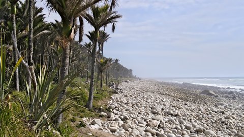Nouvelle Zélande, novembre à janvier 2019-20, _1260481 raw Heaphy Beach  Heaphy Track  ile du sud