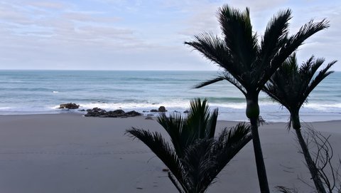 Nouvelle Zélande, novembre à janvier 2019-20, _1260509 raw Twin Beach  Heaphy Track  ile du sud