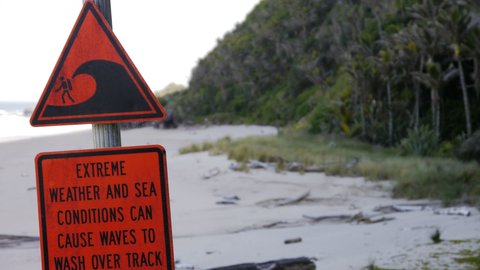 Nouvelle Zélande, novembre à janvier 2019-20, _1260511 Heaphy Track  ile du sud