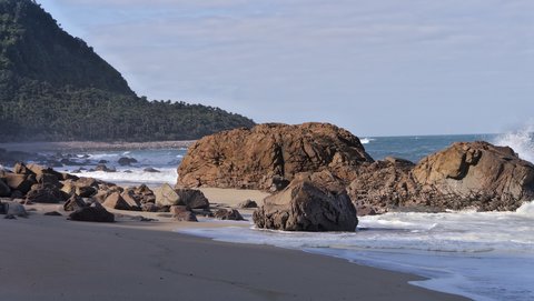 Nouvelle Zélande, novembre à janvier 2019-20, _1260512 raw Heaphy Track  ile du sud