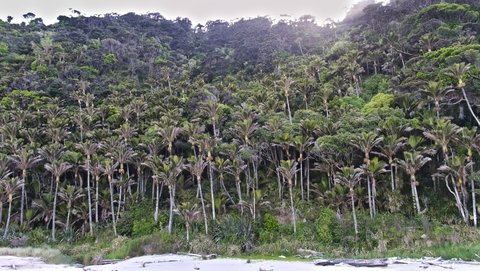 Nouvelle Zélande, novembre à janvier 2019-20, _1260515 raw Heaphy Track  ile du sud