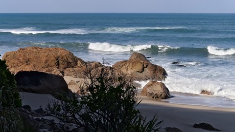 Nouvelle Zélande, novembre à janvier 2019-20, _1260518 raw Heaphy Track  ile du sud
