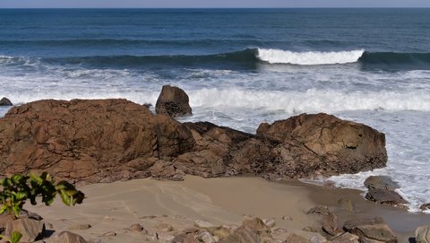 Nouvelle Zélande, novembre à janvier 2019-20, _1260521 raw Heaphy Track  ile du sud
