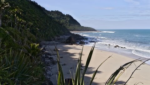 Nouvelle Zélande, novembre à janvier 2019-20, _1260523 raw Crayfish Point  Heaphy Track  ile du sud