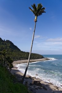 Nouvelle Zélande, novembre à janvier 2019-20, _1260528 raw Heaphy Track  ile du sud