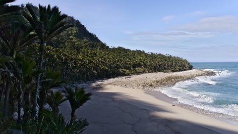 Nouvelle Zélande, novembre à janvier 2019-20, _1260531 raw Heaphy Track  ile du sud