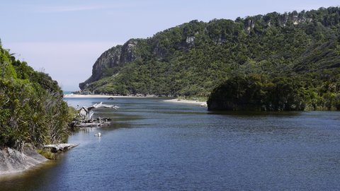 Nouvelle Zélande, novembre à janvier 2019-20, _1260564 bb Kohaihai River  Heaphy Track  ile du sud