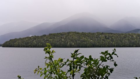 Nouvelle Zélande, novembre à janvier 2019-20, _1260847 raw Lac Monowai  Fjordland NP  ile du sud