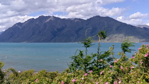 Nouvelle Zélande, novembre à janvier 2019-20, _1270226 raw Lac Hawea  ile du sud