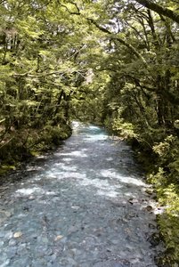 Nouvelle Zélande, novembre à janvier 2019-20, _1270246 raw Blue Young Track  ile du sud