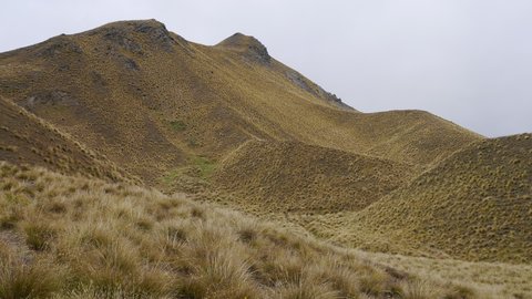 Nouvelle Zélande, novembre à janvier 2019-20, _1270269 Lindis Pass  1060m   ile du sud