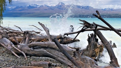 Nouvelle Zélande, novembre à janvier 2019-20, _1270307 raw Lac Pukaki  ile du sud