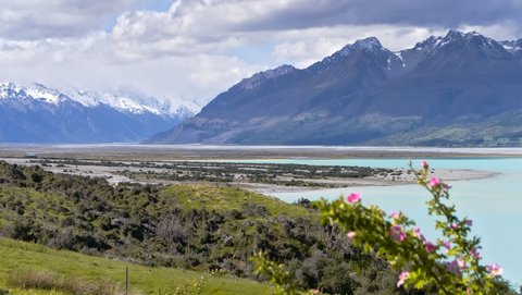 Nouvelle Zélande, novembre à janvier 2019-20, _1270321 raw Lac Pukaki  ile du sud