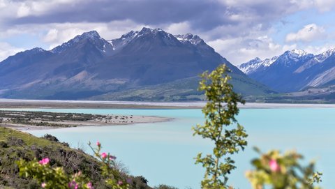 Nouvelle Zélande, novembre à janvier 2019-20, _1270324 raw Lac Pukaki  ile du sud