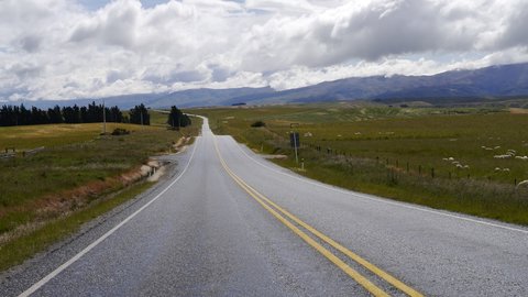 Nouvelle Zélande, novembre à janvier 2019-20, _1270629 Sur la route  entre Waipata et Blackstone Hill  ile du sud