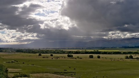 Nouvelle Zélande, novembre à janvier 2019-20, _1270638 raw Blackstone Hill  ile du sud