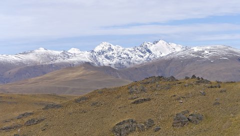Nouvelle Zélande, novembre à janvier 2019-20, _1270668 raw Proche du Mont rosa  ile du sud