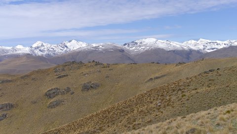 Nouvelle Zélande, novembre à janvier 2019-20, _1270670 raw Proche du Mont rosa  ile du sud