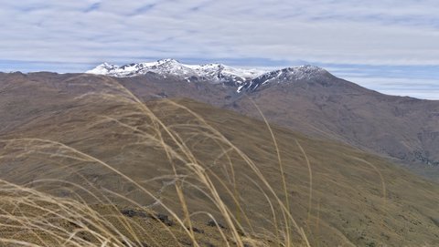 Nouvelle Zélande, novembre à janvier 2019-20, _1270677 raw Proche du Mont rosa  ile du sud