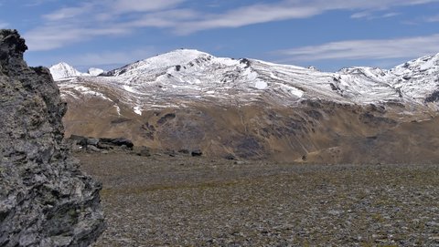 Nouvelle Zélande, novembre à janvier 2019-20, _1270679 raw Proche du Mont rosa  alt 1600m   ile du sud