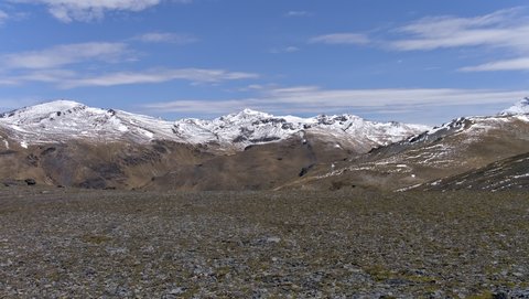 Nouvelle Zélande, novembre à janvier 2019-20, _1270681 raw Proche du Mont rosa  alt 1600m   ile du sud