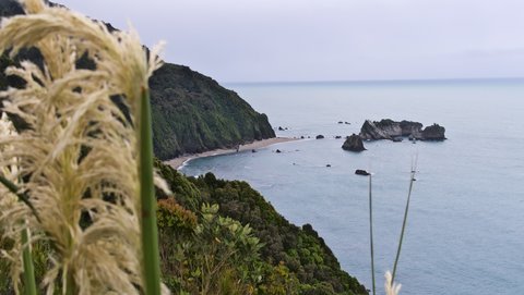 Nouvelle Zélande, novembre à janvier 2019-20, _1270716 raw Knights Point  ile du sud