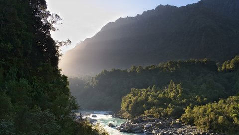 Nouvelle Zélande, novembre à janvier 2019-20, _1270737 raw Copland Track  ile du sud