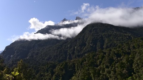 Nouvelle Zélande, novembre à janvier 2019-20, _1270751 raw Copland Track  ile du sud