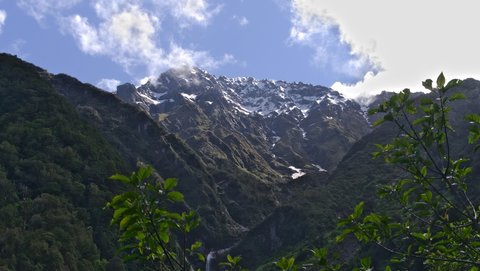 Nouvelle Zélande, novembre à janvier 2019-20, _1270754 raw Shiels Creek  Copland Track  ile du sud