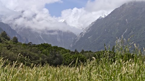 Nouvelle Zélande, novembre à janvier 2019-20, _1270820 raw Depuis Welcome Flat Hut  Copland Track  ile du sud