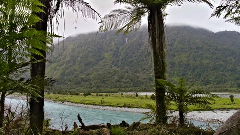 Nouvelle Zélande, novembre à janvier 2019-20, _1270828 raw Copland Track  ile du sud