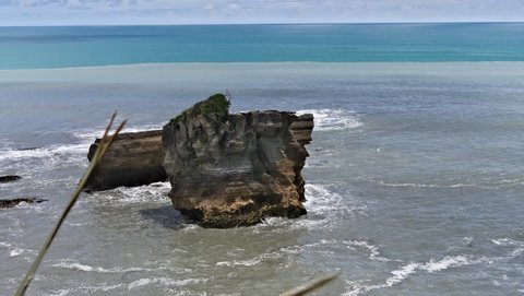 Nouvelle Zélande, novembre à janvier 2019-20, _1270839 raw Pancakes Rocks  Punakaiki  ile du sud