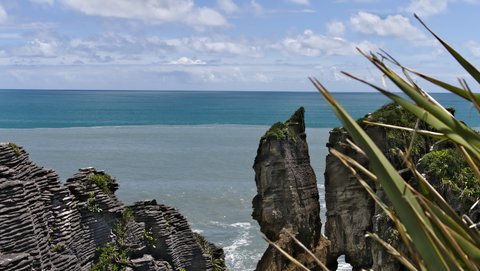 Nouvelle Zélande, novembre à janvier 2019-20, _1270840 raw Pancakes Rocks  Punakaiki  ile du sud