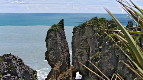 Nouvelle Zélande, novembre à janvier 2019-20, _1270841 raw Pancakes Rocks  Punakaiki  ile du sud