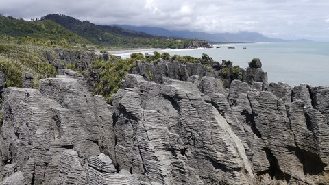 Nouvelle Zélande, novembre à janvier 2019-20, _1270842 Pancakes Rocks  Punakaiki  ile du sud