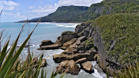 Nouvelle Zélande, novembre à janvier 2019-20, _1270844 raw Punakaiki  ile du sud