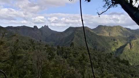 Nouvelle Zélande, novembre à janvier 2019-20, _1250519 raw Kauaeranga Valley  Coromandel Forest Park  ile du nord