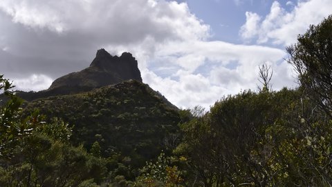 Nouvelle Zélande, novembre à janvier 2019-20, _1250535 raw Kauaeranga Valley  Coromandel Forest Park  ile du nord