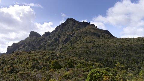 Nouvelle Zélande, novembre à janvier 2019-20, _1250536 raw Pinacle  659m   Kauaeranga Valley  Coromandel Forest Park  ile du nord