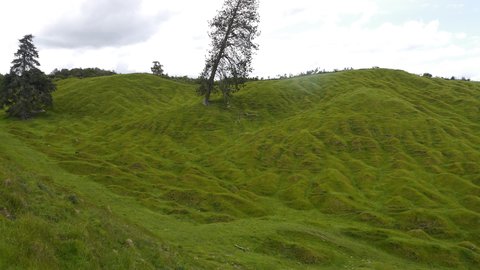 Nouvelle Zélande, novembre à janvier 2019-20, _1250685 Proche du site Waimangu  ile du nord